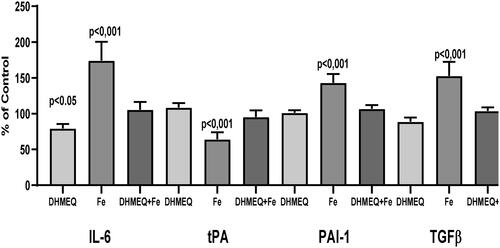 Figure 1. Expression of genes regulating expression of IL6, tPA, PAI-1, and TGFβ in mesothelial cells cultured in medium supplemented with DHMEQ 10 μg/mL (DHMEQ), IIS 15 μg/dL (Fe) or DHMEQ 10 μg/mL plus IIS 15 μg/dL (DHMEQ + Fe). Results are presented as % of control when cells were cultured in standard medium.