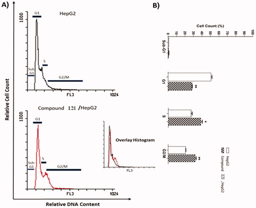 Figure 4. Flow cytometry analysis of HepG2 cell cycle after the treatment of compound 12 l.