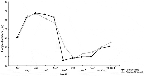 Figure 2. Mean diameter values of Arca noae oocytes collected from April 2013 to February 2014 in Telascica Bay and Pasman Channel