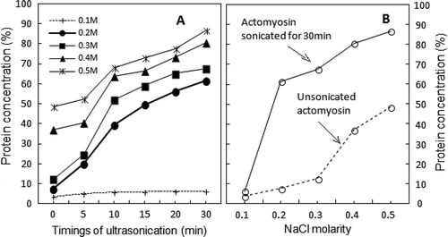 FIGURE 1 (a) Time course of changes in protein solubility of sonicated AM as 0.6M NaCl solution after post-exposure dilutions to different NaCl molarities. Starting point (zero) of each curve is the protein concentration of control supernatant at each NaCl dilution. (n = 5; p < 0.05; SE ± 2–5); (b) Salt concentration-dependence of sonicated-AM solubility (continuous line) showing shift to lower NaCl molarity. Opposite behavior of solubility displayed by unsonicated AM at different dilutions of NaCl is displayed as dotted line. (n = 5; p < 0.05; SE ± 2–5).