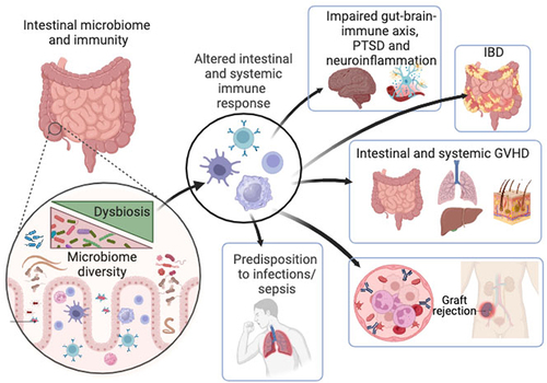 Figure 1. Impact of microbiome-immune axis on intestine and peripheral physiologic homeostasis.