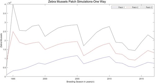Figure 4. Simulated total population (sum of juveniles, small adults, and large adults) for the three patch model with one-way downstream movement using estimated parameters in Table 5. The y-axis unit is the number of zebra mussels per square metre.