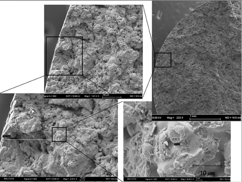 3. Fracture surfaces of fatigue specimen B