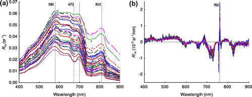 Figure 3. Spectra of remote sensing reflectance (Rrs) (a) and its first-order derivative () (b) over 400–900 nm at the 34 sampling sites in 2010.