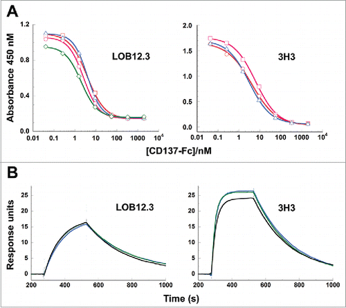 Figure 6. Binding of reverse-engineered LOB12.3 and 3H3 Fab variants to murine CD137. A) Competition phage ELISA measuring relative CD137 binding affinities to phage displayed LOB12.3 or 3H3 Fab variants. LOB12.3 Fab variants contained LOB12.3-Lv3/Hv3 light/heavy V-region pairs, where the sequence at VL33/VH100c was Leu/Leu (green), Leu/Ile (blue), Ile/Leu (magenta) or Ile/Ile (red). IC50 values for displacement of 50% of bound Fab-phage was between 2.0 – 3.9 nM for all 4 variants. 3H3 Fab variants contained 3H3-Lv2/Hv3 V-region pairs, where the sequence at VH29 was Ile (blue), or contained a VH-E61D substitution and Ile (red) or Leu (magenta) at VH29. IC50 values for displacement of 50% of bound Fab-phage was between 3.1 – 6.2 nM for all 3 variants. B) Sensorgram traces showing near identical binding kinetics for 11.1 nM injections of Fab samples over an immobilized CD137 surface. Reverse-engineered Fab variants (blue = Fab1; green = Fab2) are compared to the corresponding reference Fabs generated by partial proteolysis of the commercially-sourced parental IgG (black = Fabp). Binding kinetics calculated from the full set of surface plasmon resonance data are shown in Table 3.
