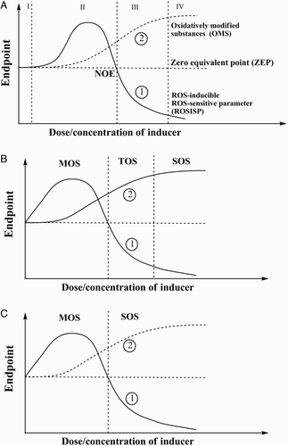 Figure 2 Schematic presentation of classification of oxidative stress based on its intensity. All diapason of relationship ‘Endpoint’ and ‘Dose/concentration of inducer’ is divided for: (A) four zones, namely I – basal oxidative stress (BOS), II – low intensity oxidative stress (LOS), III – intermediate intensity oxidative stress (IOS), and IV – high intensity oxidative stress (HOS); (B) for three zones, namely mild oxidative stress (MOS), temperate oxidative stress (TOS), and severe (or strong) oxidative stress (SOS); and (С) for two zones, namely mild oxidative stress (MOS) and strong oxidative stress (SOS). NOE = no observable effect point.