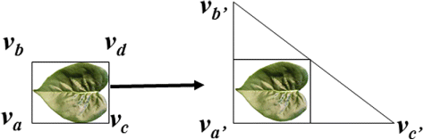 Figure 4. Conversion of a leaf made up of two triangles into one triangle.