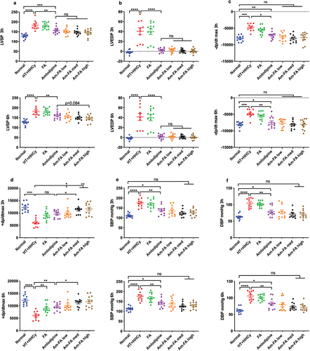 Figure 3. Hemodynamic alterations in 2K1C rats with HHcy treated with amlodipine and FA.