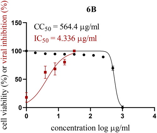 Figure 2. CC50 and IC50 values for isatin derivative 6b.