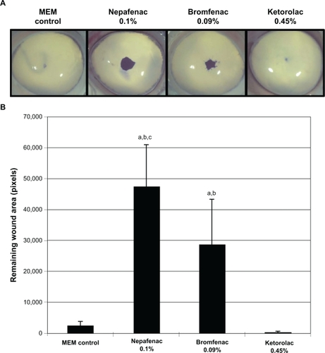 Figure 3 Remaining epithelial wound area in corneas treated with nepafenac 0.1%, bromfenac 0.09%, and ketorolac 0.45%. Representative images of corneas treated with nepafenac 0.1%, bromfenac 0.09%, and ketorolac 0.45% A) and corresponding intensity of the remaining wound area B) are shown.