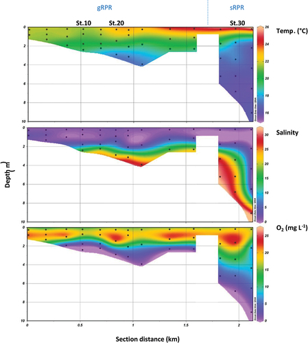 Figure 2. Distribution of temperature, salinity and dissolved oxygen along the Ria Penfeld Reservoir (RPR) in June 2021. The left side of each panel corresponds to the great RPR and the right side corresponds to the small RPR. The three panels were drawn with the Ocean Data View software using triangular mesh gridding.