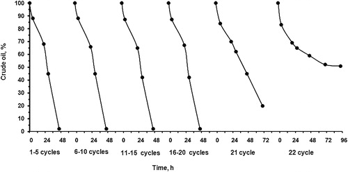 Figure 7. Crude oil degradation by cryogel immobilized Bacillus cereus BN66 cells.