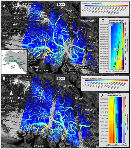 Figure 1. (a) Surface ice motion of the St. Elias Icefields derived from RCM imagery collected in January 2022, magenta triangles on Tänshi¸ (Kaskawulsh) and Dań Zhùr (Donjek) glaciers indicate the location of in situ dGPS stations; (b) Surface ice motion of the St. Elias Icefields derived from RCM imagery collected in January 2023; (c) Extracted surface ice velocities depicting the surge progression in the lower terminus region of Nàłùdäy (Lowell) Glacier from RCM imagery collected from January to March 2022; (d) Extracted surface ice velocities depicting the surge progression in the middle section of Chitina Glacier from RCM imagery collected from January to March 2023. Centerline used for velocity extraction in (c and d) are shown in (a and b), respectively, and ‘*’ provided on (c and d) denote velocity maps derived from imagery acquired greater than 4-days apart. RADARSAT Constellation Mission Imagery © Government of Canada (2022 and 2023), RADARSAT is an official mark of the Canadian Space Agency. Background image is a mosaic of Landsat-8 imagery.