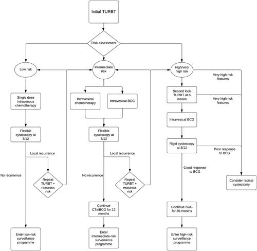 Figure 1. Simplified schematic of the 2020–2022 ccAFU guidelines for bladder cancer [adapted from Ref. Citation7].