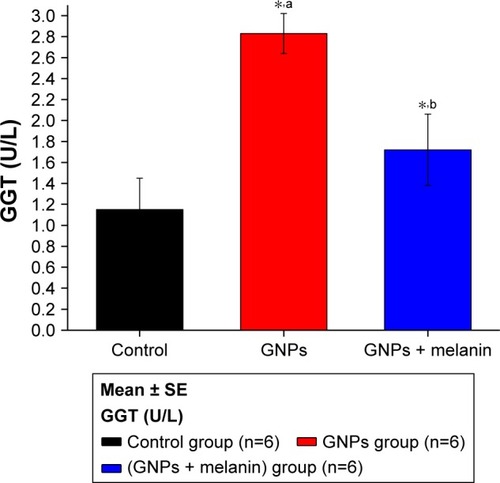 Figure 3 Effect of GNPs and melanin on GGT level in rats.Note: aRelated to GNPs within the control group; bmelanin related to GNPs and control; *P<0.05.Abbreviations: GGT, gamma-glutamyl transferase; GNP, gold nanoparticle.