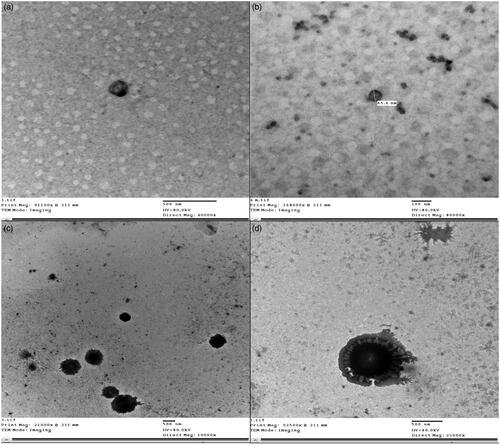 Figure 2. TEM micrographs of optimum MSP-PLCP (a and b) and TEM micrographs of the optimized tablet dispersion (c and d) in simulated saliva.
