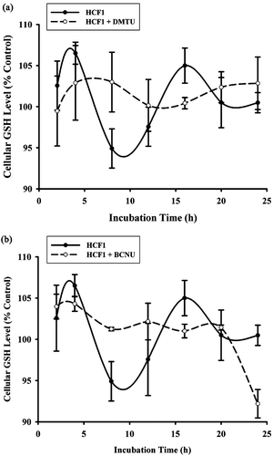 Figure 6.  Effects of BCNU and DMTU on HCF1-induced changes in cellular GSH levels in H9c2 cells. DMTU, an antioxidant, and BCNU, a specific inhibitor of glutathione reductase (GR) were coincubated with HCF1 (30 ng/mL). Data were expressed in percent control with respect to the time-matched untreated control (initial control GSH level = 20.73 ± 0.52, 20.35 ± 0.56 nmol/mg protein, respectively). Values given are mean ± SEM, with n = 4.