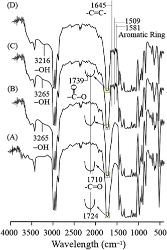 Figure 2 FTIR spectra of (A) neat PHB, (B) PHB-g-AA, (C) PHB-g-AA/MWNTs(1wt%), and (D) PHB-g-AA/MWNTs-OH(1 wt.%).