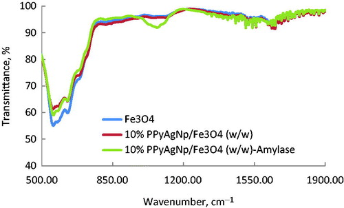 Figure 3. FT-IR spectra of Fe3O4-nanoparticles, PPyAgNp/Fe3O4-nanocomposite and PPyAgNp/Fe3O4-nanocomposite-α-amylase.