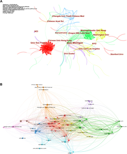 Figure 6 (A) Visualization map of institutions involved in Acupuncture Therapy for fibromyalgia syndrome (CiteSpace). Larger circles and fonts in this figure indicate that the research institution is more influential in the field of acupuncture for fibromyalgia. (B) Visualization map of institutions involved in Acupuncture Therapy for fibromyalgia syndrome (Vosviewer). The more identical the colors in the images generated by Vosviewer, the more likely it is that the institution will tend to cooperate.