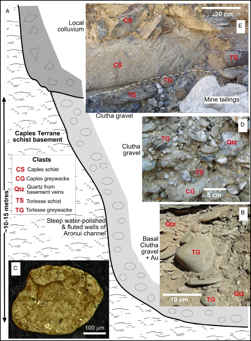 Figure 11 A schematic section of exposure of a wall of the Aronui channel of the Clutha River (Late Pleistocene; Fig. 2A). B–D, Lower channel sediments were transported by the Clutha River and include rounded clasts of highly variable provenance with flaky detrital gold. E, Upper sediments are locally derived angular and poorly sorted colluvium that post-dated channel abandonment, with minor rounded clasts of Torlesse Terrane greywacke recycled from the underlying Clutha sediments.