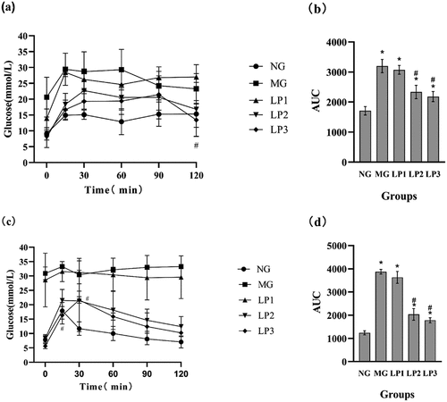 Figure 3. Changes in blood glucose levels and oral glucose tolerance. a,b before the experiment, c,d at the end of the experiment, oral glucose tolerance of experimental mice after 13 weeks of administration of L. plantarum SCS5, and blood glucose levels measured at 0, 30, 60, 90 and 120 min respectively. At the same time, the area under the curve of the drawn curve is calculated. Normal group (NG); STZ treatment group (MG); STZ + L. plantarum SCS5 suspension group (LP1); STZ + L. plantarum SCS5 intracellular material group (LP2); STZ + L. plantarum SCS5 heat-killed intracellular material group (LP3). *Values compared with NG mice are significantly different at p < .05. #Values compared with MG mice are significantly different at p < .05.