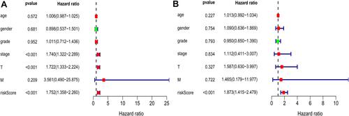 Figure 6 Univariate (A) and multivariate (B) Cox regression analyses demonstrated that the prognostic model was independently associated with the OS of HCC patients.