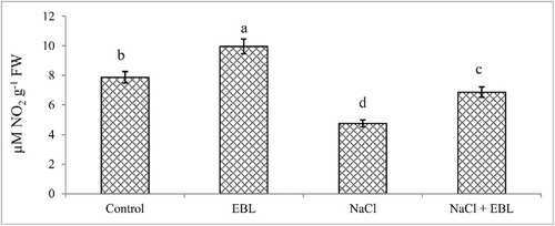 Figure 1. Effect of NaCl (200 mM) on nitrate reductase activity in Acacia gerrardii Benth treated with 24-epibrassinolide. Data present is mean of 10 replicates.