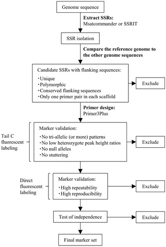 Figure 1. Schematic illustration of the SSR marker development strategy used in this study.