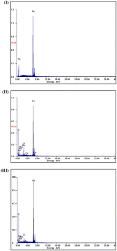 Figure 15. The (EDX) analysis of the carbon steel samples surface: (I) polished sample, (II) after immersion in the seawater solution without inhibitor and (III) after immersion in the seawater solution in the addition of 250 ppm of Leu-PASP compound.