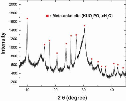 Figure 9. XRD patterns of KUO2PO4 precipitate formed in a solution with 1 mM KH2PO4 at pH 6.25.