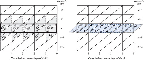 Figure 4 Lexis diagrams to illustrate numerators (left) and denominators (right) for the calculation of fertilityNote: See ‘Variant D (new)’ subsection and equations (2)–(4) for explanation of terms.