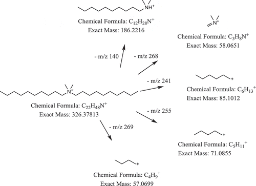 Figure 4. Structure of DDAC (m/z 326.378) and tentative product ion.