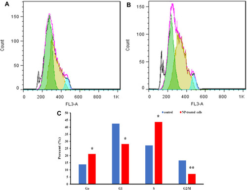 Figure 8 Cell cycle assay of (A) control K562 cells, (B) treated K562 cells incubated with IC50 concentrations of Co3O4 NPs, (C) statistical analysis histogram. *P<0.5 and **P<0.01 relative to negative untreated cells.