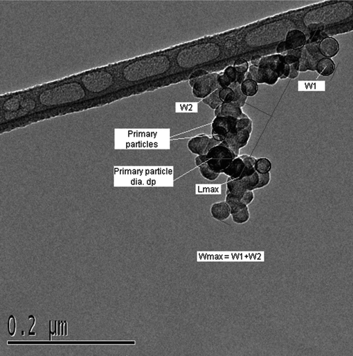 FIG. 1 TEM micrograph showing the measurements of primary particle area in an agglomerate and the maximum projected length (Lmax) and width (Wmax) of the agglomerate.