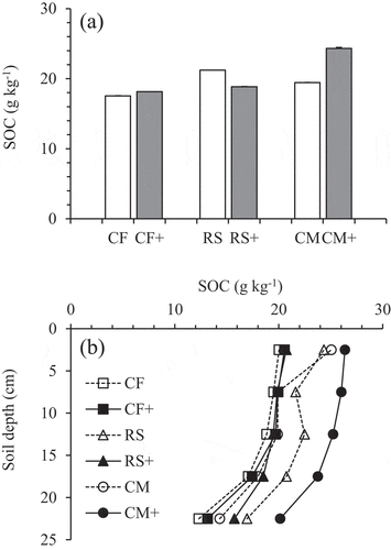 Figure 4. Long-term effects of mineral slag additions on the changes in soil organic carbon at the 0–25 cm soil depth (a) and 5-cm soil depth increments (b). Bars are standard deviation (n = 3).