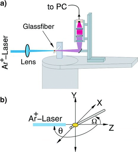 FIG. 1 Schematic representation of the (a) experimental setup and (b) definition of the scattering angle θ, and the angle of incidence Ω and therewith the orientation of the pollen relative to the incident laser beam.