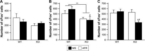 Figure 9 Rearing condition and genotype affected the number of cFos-positive cells in the mPFC after the three-chamber test.