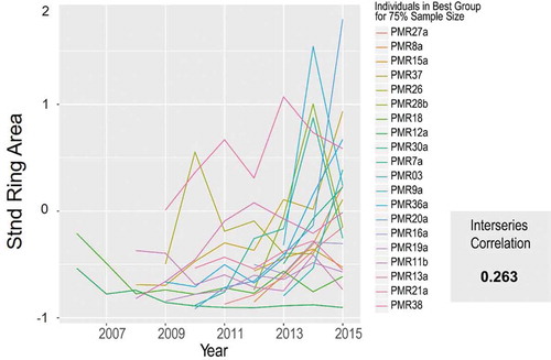 Figure 5. Ring area spaghetti plots for the 20-member permutation group with the best mean interseries correlation.