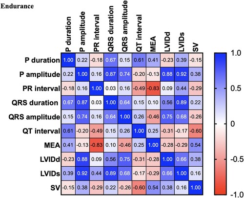 Figure 5. Correlation matrix of all variables used in the cross-lagged models of horses participating in Endurance exercise. The colour bar represents correlation coefficients from − 1 (red) to + 1 (blue). Blue squares represent significant positive correlations. Red squares represent significant negative correlations.