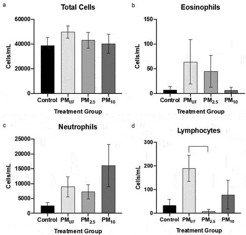 Figure 3. Total cells and cell differentials from BALF collected 24 hr after a single OPA exposure to PM. panel a) graph of total cell counts reflected as the number of cells per mL of BALF collected. Panels b-d) graphs of cell differentials calculated after representative counts of 500 cells/mouse. For each endpoint, data were analyzed using a one-way ANOVA to test the effect of particle size on cell counts/mL, and a post-hoc Tukey’s multiple comparison test to determine statistical differences between specific exposure groups. N = 8/group for all endpoints. Statistical significance was determined at a level of p < .05 for all ANOVAs and Tukey’s tests. A bracket indicates a significant difference between groups exposed to different PM size fractions.