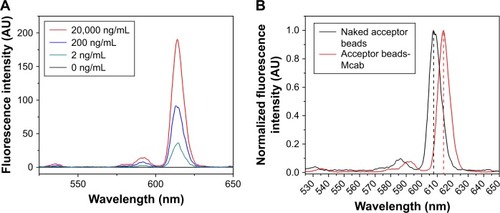 Figure 2 Emission spectrum of acceptor beads.Notes: (A) Fluorescent spectra of various concentrations of acceptor beads after conjugation. (B) Redshift of fluorescent peaks of the conjugated acceptor beads.