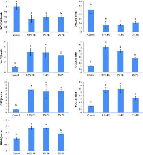 Figure 3. Effects of Phyllanthus emblica leaves and branches mixture (PE) supplemented in diets on mRNA expression levels of the antioxidant-regulated genes of 35-day-old broilers.