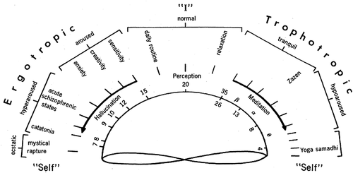The Fischerian varieties of consciousness: Perception-hallucination continuum of increasing ergotropic (sympathetic dominate) arousal (left) and perception-meditation continuum of increasing trophotropic (parasympathetic dominate) arousal (right). These levels of hyperarousal and hypoarousal are interpreted by humans as normal, creative, psychotic, and ecstatic states (left) and Zazen and samadhi (right). The loop connecting ecstasy and samadhi represents the rebound from ecstasy to samadhi, which is observed in response to intense ergotropic excitation. The monk Duc may have been rebounding in ‘self” due to modulation of the anterior cingulate cortex (Devinsky, Morrell, & Vogt, Citation1995). From Fischer, Science. (Citation1971):174:897. Reprinted with permission from AAAS.