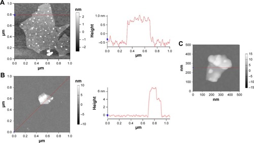 Figure 4 AFM of GO sheets (A), HPG-GO sheets (B), HPG-GO elliptical shape (C).Abbreviations: AFM, atomic force microscopy; GO, graphene oxide; HPG, hyperbranched polyglycerol.