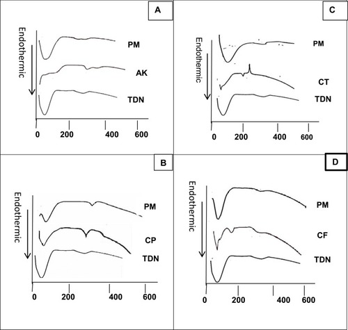 Figure 3 Diffraction scanning calorimetry analysis of (A) TDN, amikacin and its physical mixture; (B) TDN, ciprofloxacin and its physical mixture; (C) TDN, ceftriaxone and its physical mixture; (D) TDN, cefpime and its physical mixture.Abbreviations: TDN, titanium dioxide nanoparticles; AK, amikacin; CP, ciprofloxacin; CT, ceftriaxone; CF, cefpime; PM, physical mixture.