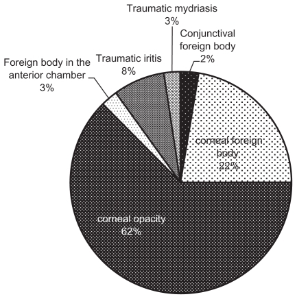 Figure 2 Distribution of ocular injuries seen on examination of 40 welders in the study group.