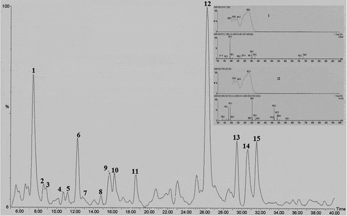FIGURE 2 LC-PDA-TIC profile of the methanolic extract, and UV spectra and mass spectra of major phenolic compounds of A. herba-alba. The peak assignments are listed in Table 3.