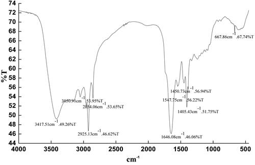 Figure 3. IR spectra of lipopeptide.