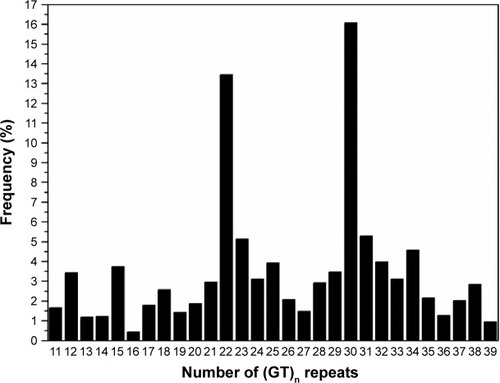 Figure 2 Distribution of the number of (GT)n repeats of the HO-1 gene promoter in all subjects.